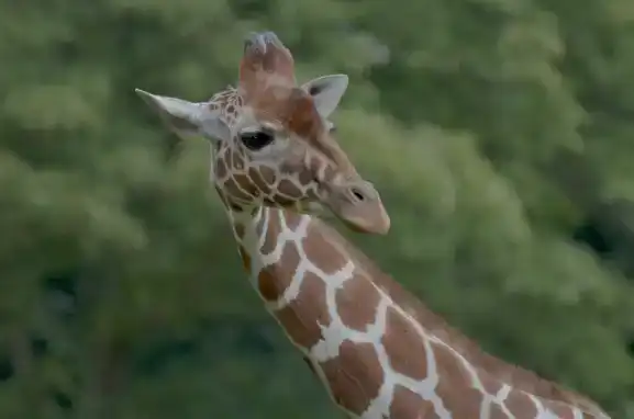 adjustment-layers-tutorial