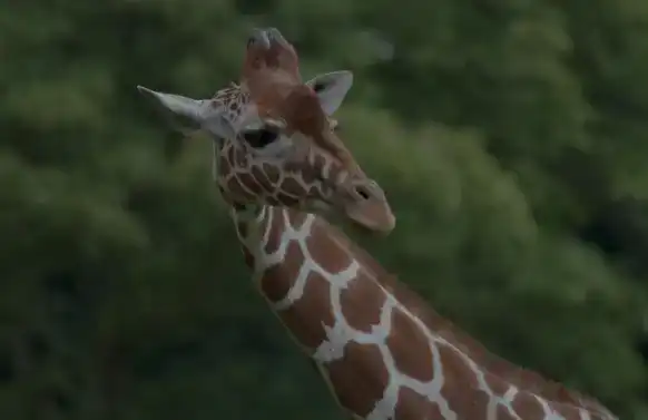 adjustment-layers-tutorial