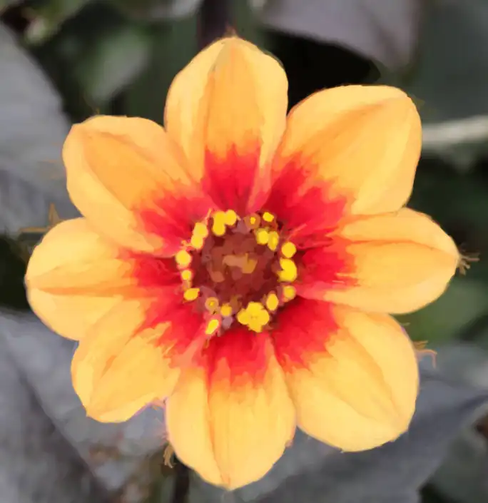 art-history-brush-tutorial