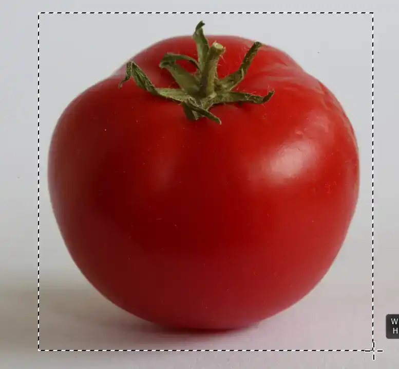 background-eraser-tool-tutorial