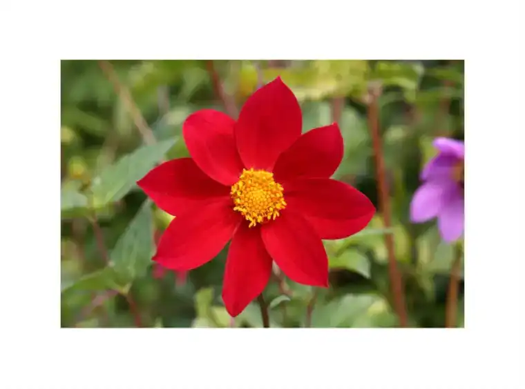 adjustment-brush-tutorial