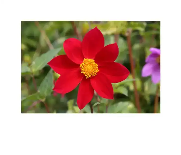 adjustment-brush-tutorial