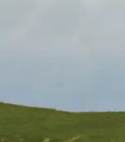 Photoshop Clone Stamp Tool Tutorial