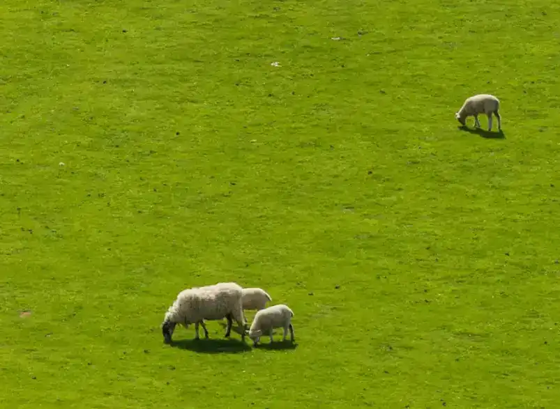 content-aware-move-tool-tutorial