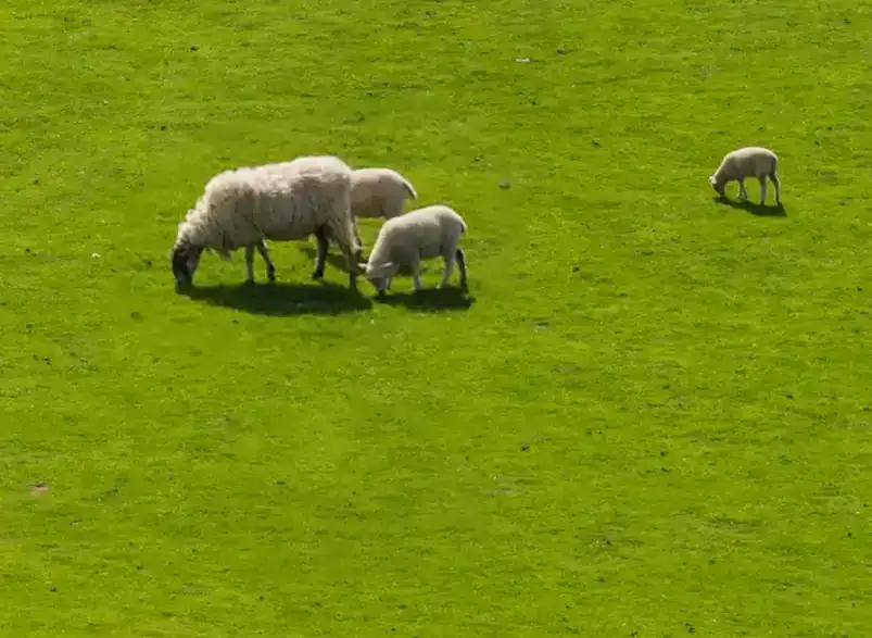 content-aware-move-tool-tutorial