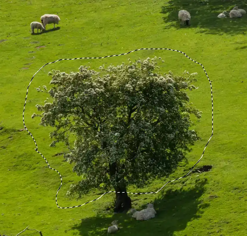 content-aware-move-tool-tutorial