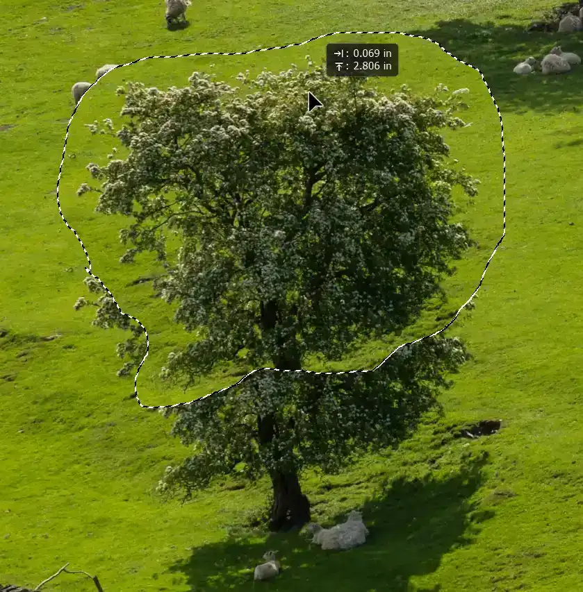 content-aware-move-tool-tutorial