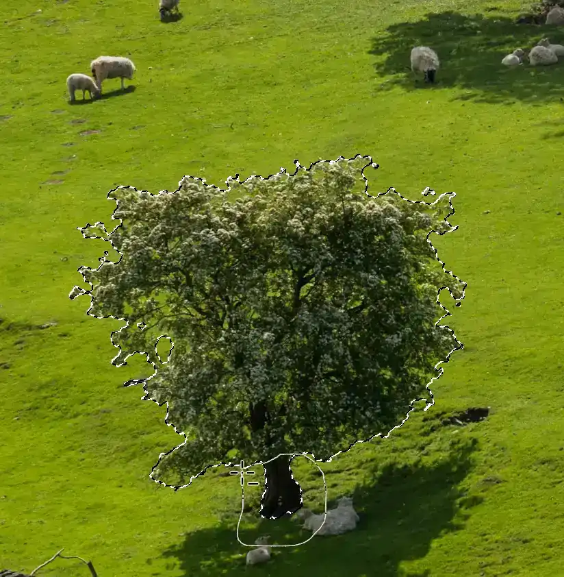 content-aware-move-tool-tutorial