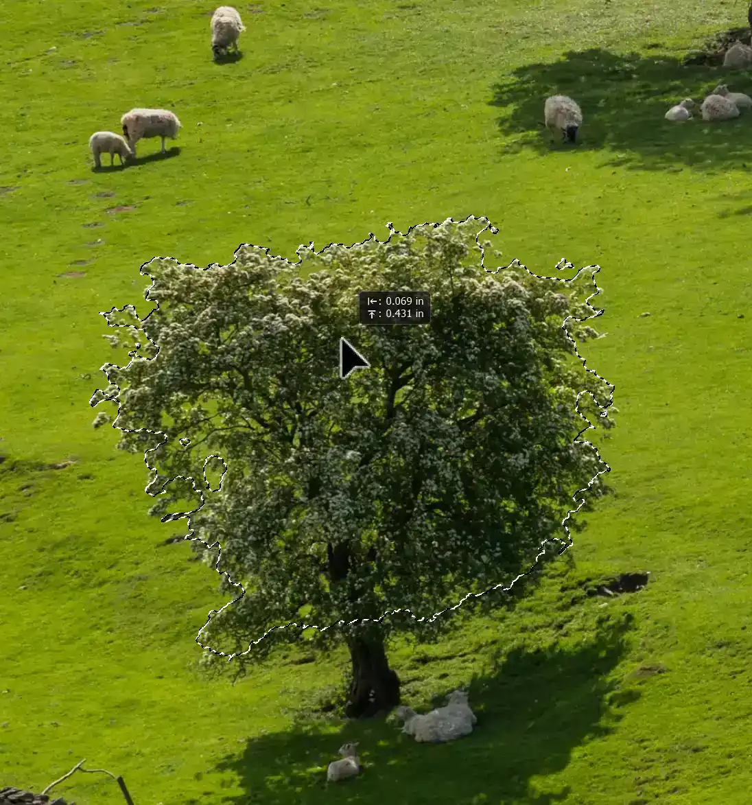 content-aware-move-tool-tutorial