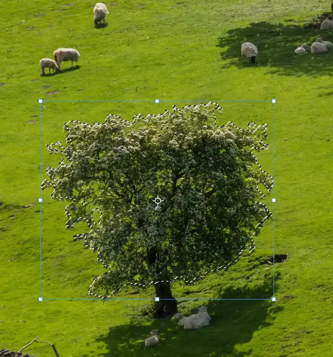 content-aware-move-tool-tutorial