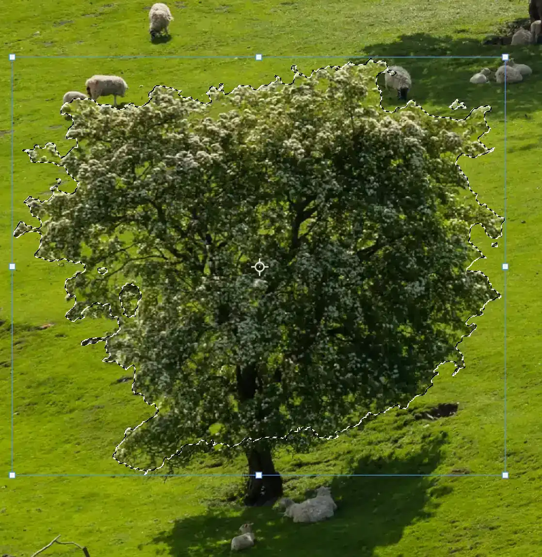 content-aware-move-tool-tutorial