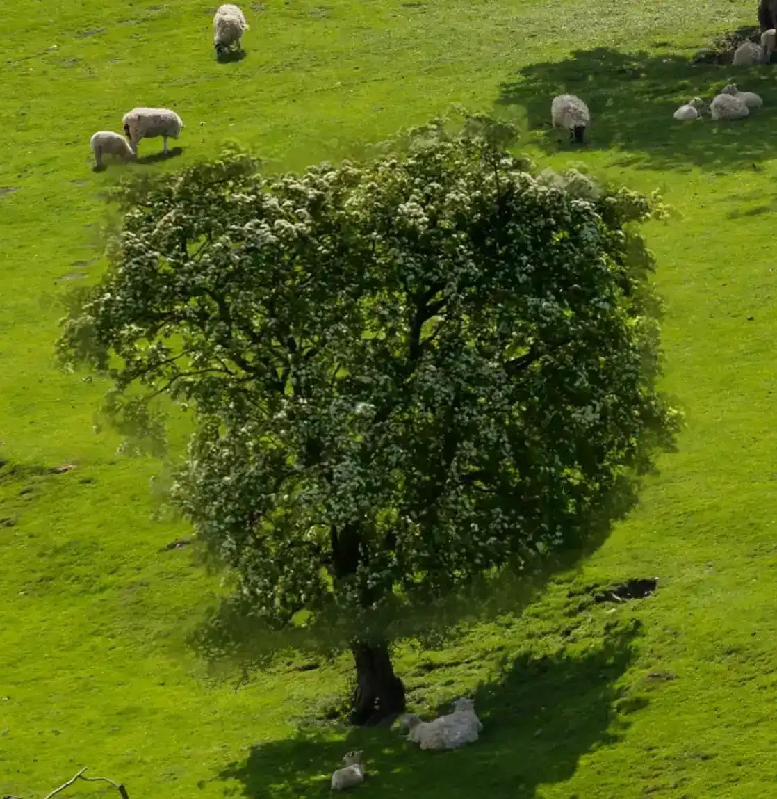 content-aware-move-tool-tutorial