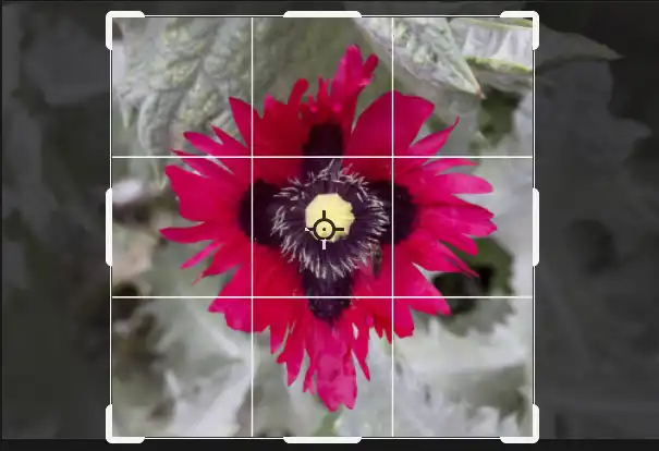 create crop preset tutorial