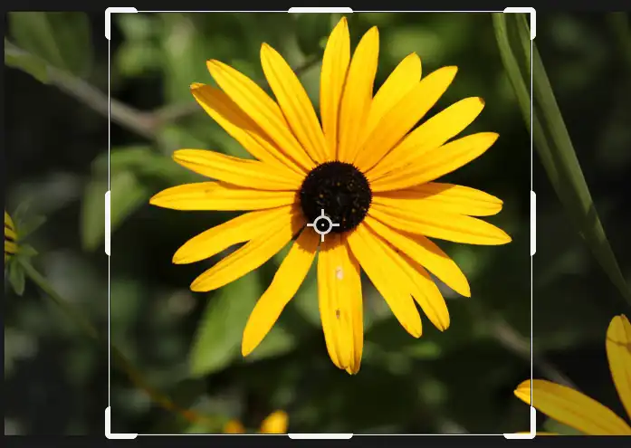 create crop preset tutorial