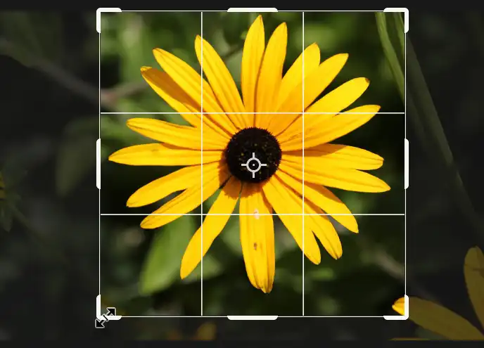 create crop preset tutorial