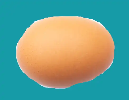 freeform pen tool tutorial