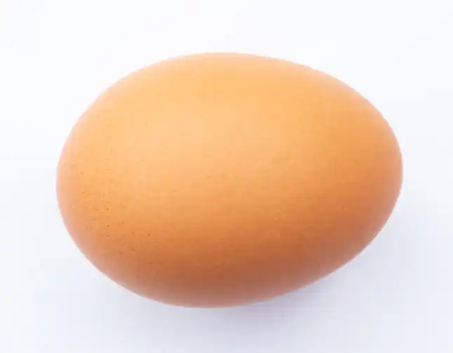 freeform pen tool tutorial