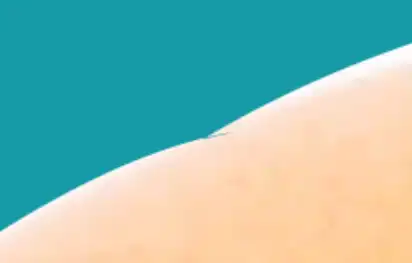 freeform pen tool tutorial