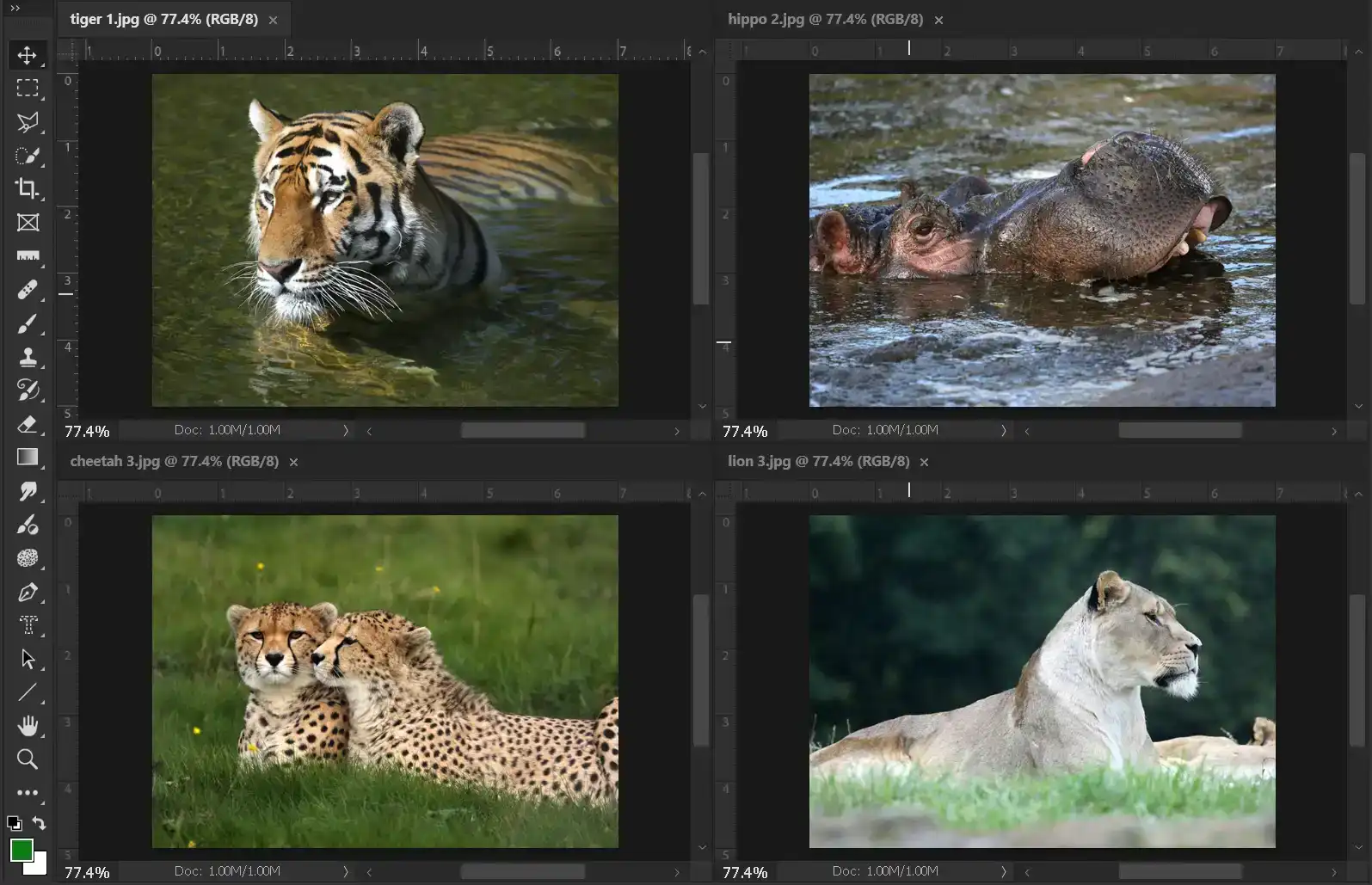 Photoshop Hand Tool Tutorial