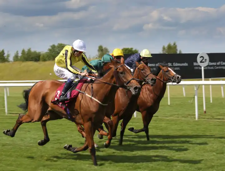 Photoshop Histogram Tutorial