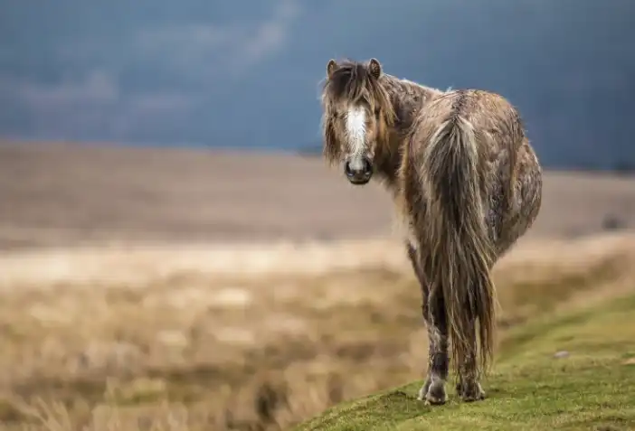 Photoshop Histogram Tutorial