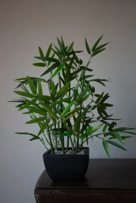 Photoshop Histogram Tutorial