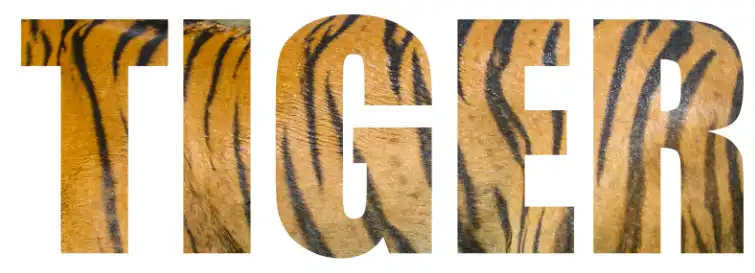 Photoshop horizontal type mask tool Tutorial