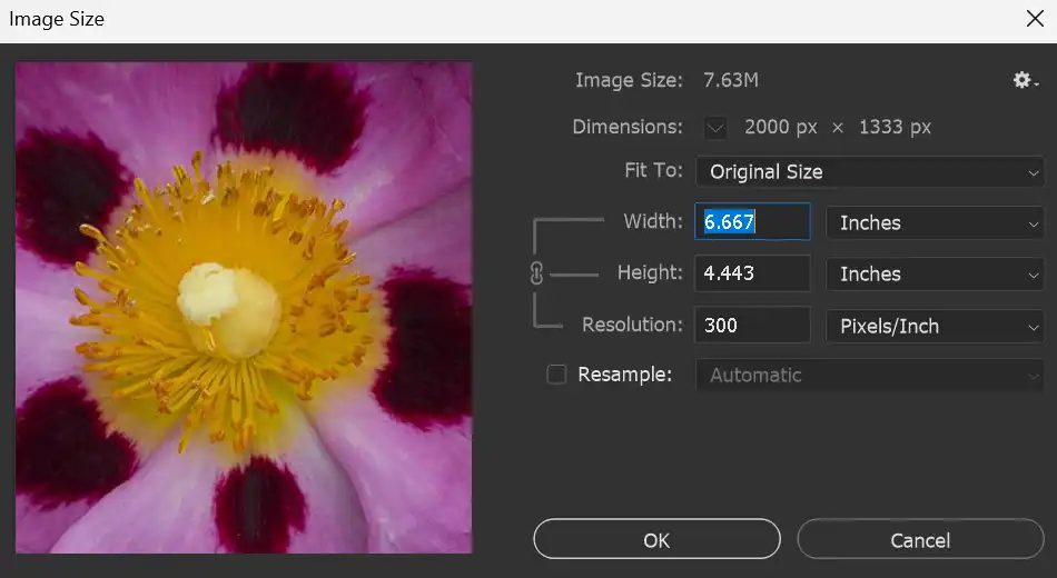 adjustment-brush-tutorial