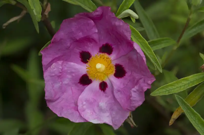 adjustment-brush-tutorial