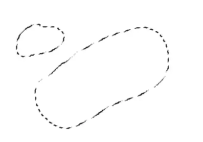 Photoshop Lasso Tool Tutorial