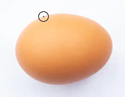 Photoshop Magnetic Lasso Tutorial