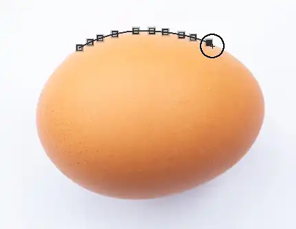 Photoshop Magnetic Lasso Tutorial