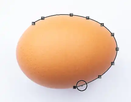 Photoshop Magnetic Lasso Tutorial