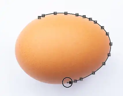 Photoshop Magnetic Lasso Tutorial