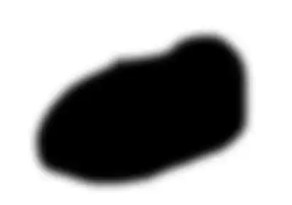 Photoshop Lasso Tool Tutorial