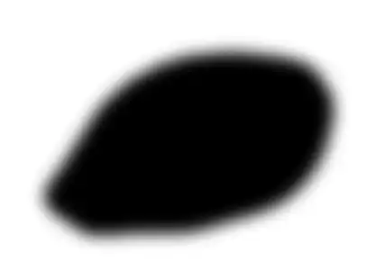 Photoshop Lasso Tool Tutorial