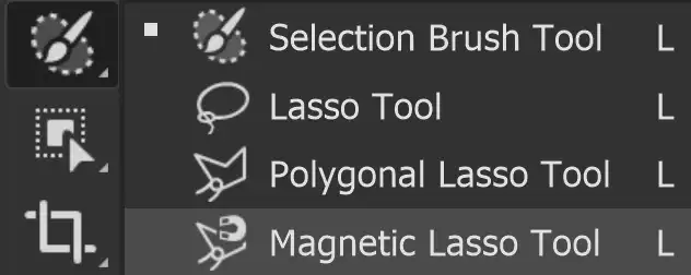 Photoshop Magnetic Lasso Tutorial