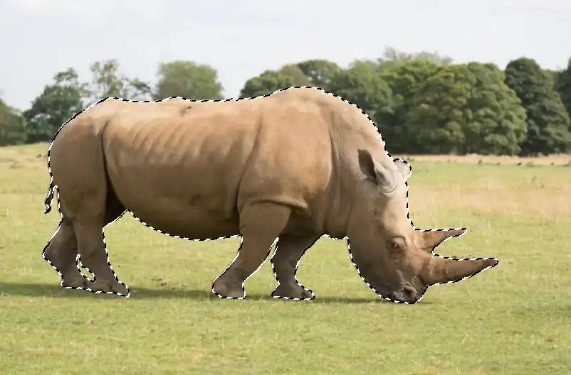 Photoshop Layer Masks basics Tutorial