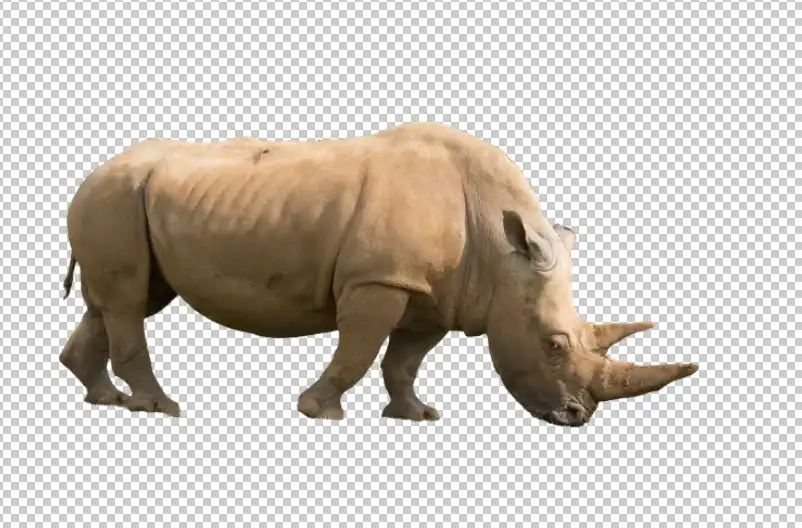 Photoshop Layer Masks basics Tutorial