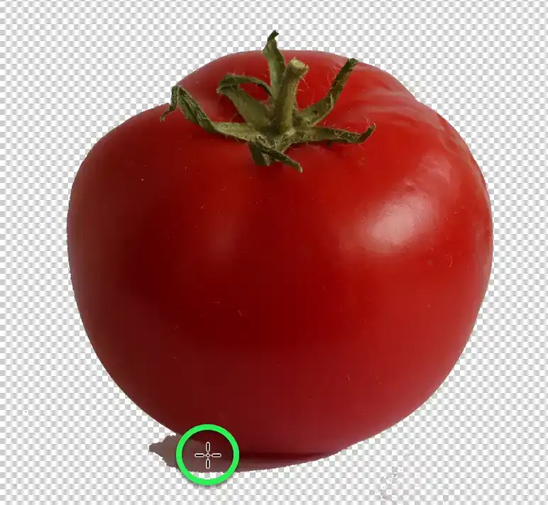 Photoshop Magic Eraser Tool Tutorial