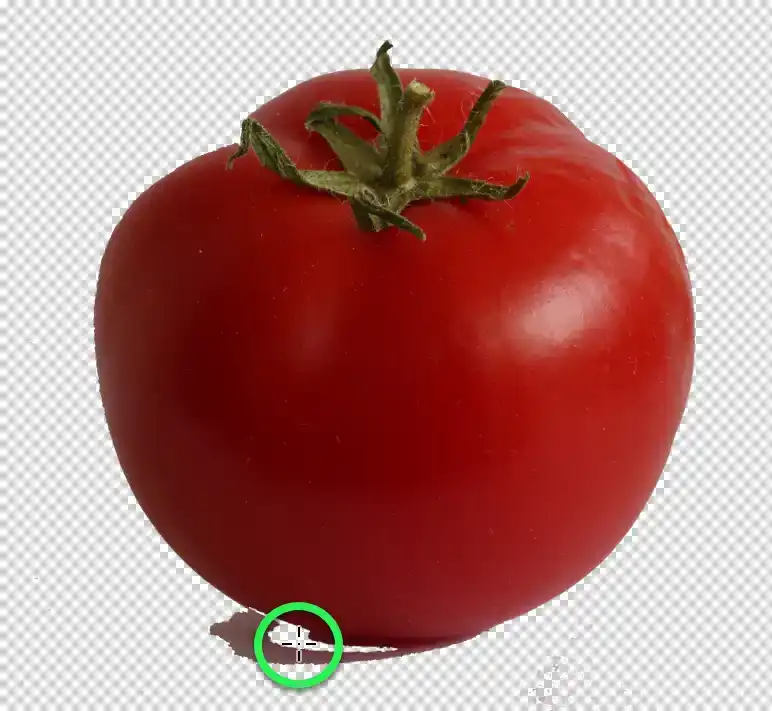 Photoshop Magic Eraser Tool Tutorial