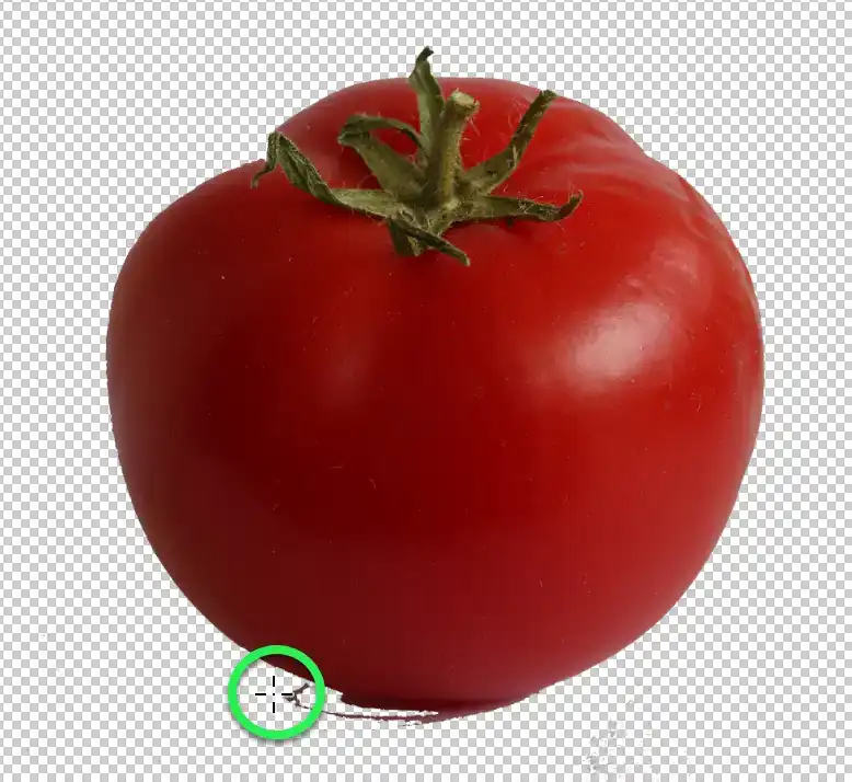 Photoshop Magic Eraser Tool Tutorial