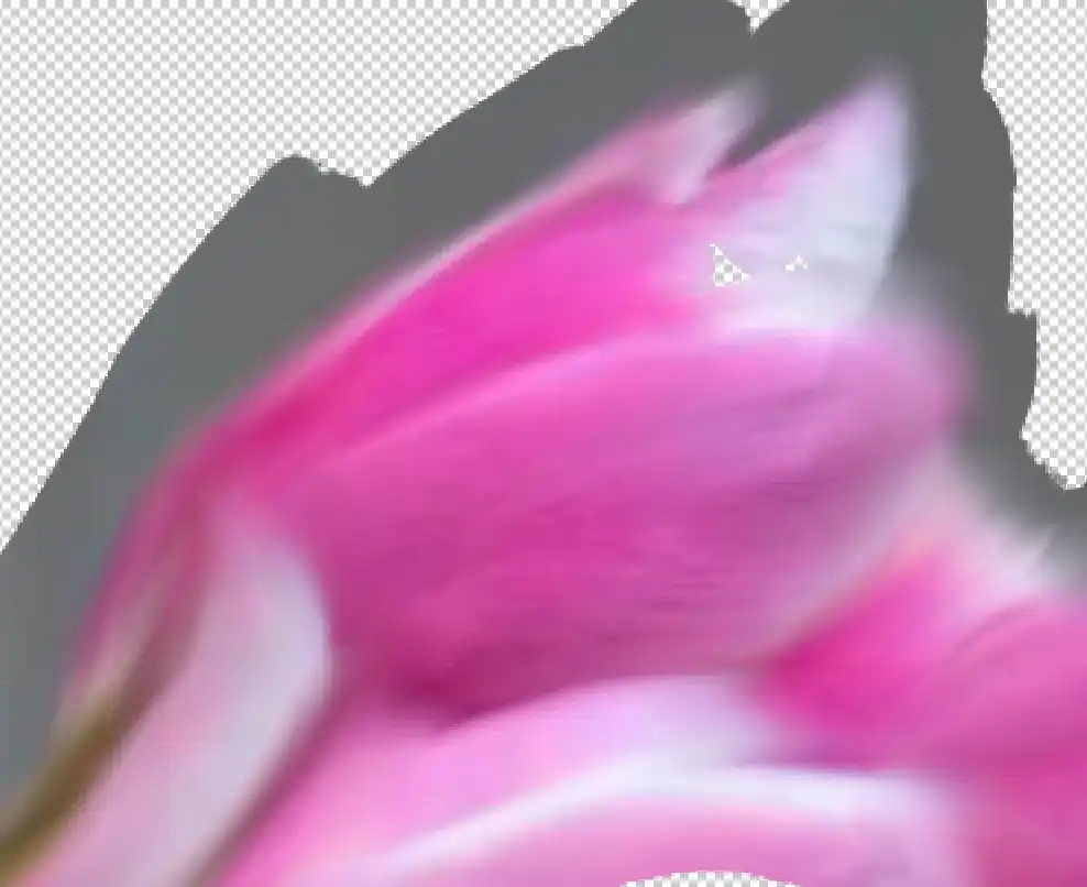 Photoshop Mixer Brush Tool Tutorial