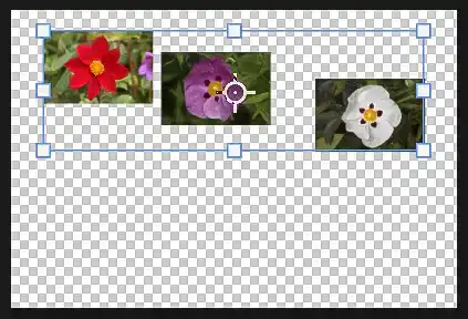 Photoshop Move Tool Tutorial