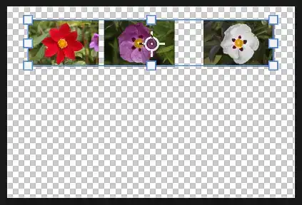 Photoshop Move Tool Tutorial