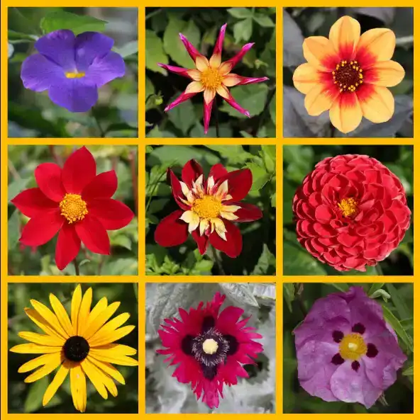 blending mode hand color tutorial