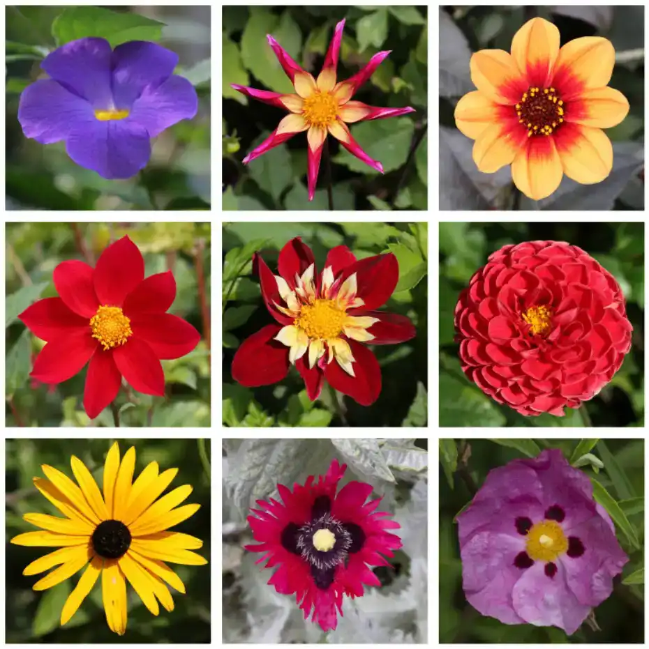 blending mode hand color tutorial