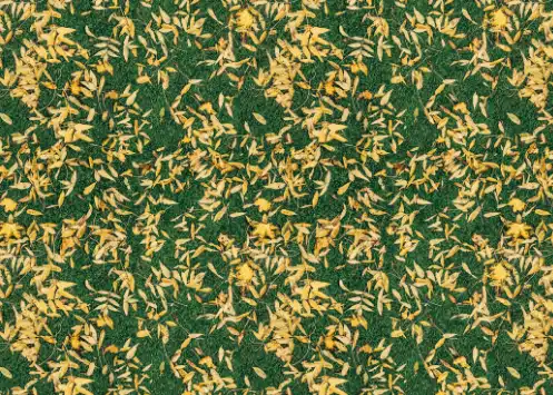 Photoshop Paint Bucket Tool Tutorial