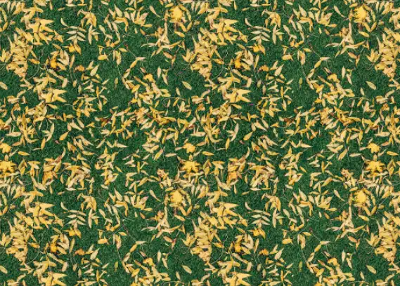 Photoshop Paint Bucket Tool Tutorial