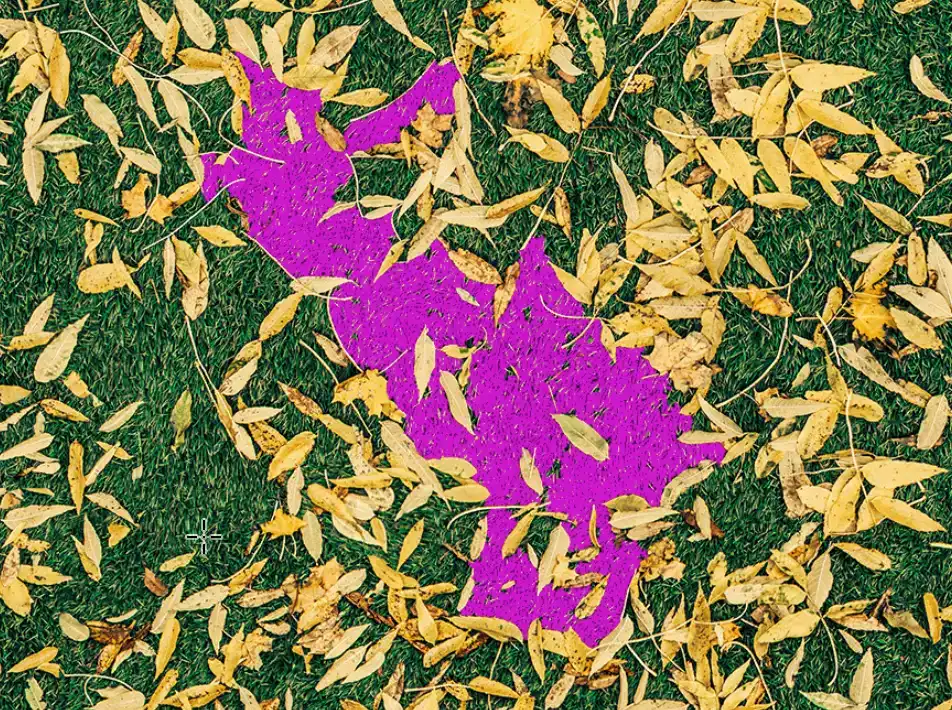 Photoshop Paint Bucket Tool Tutorial